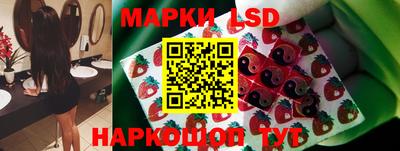 гидра Моздок