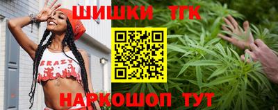 гидра Моздок