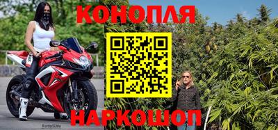 гидра Моздок