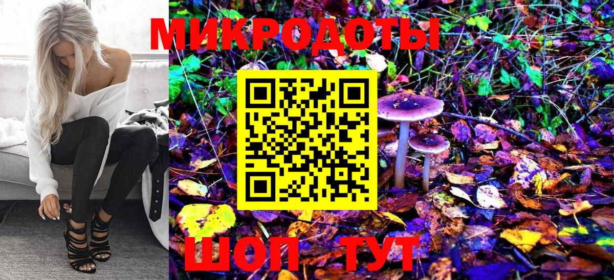 Чусовой  Галлюциногенные грибы Cubensis  Вход с VPN 